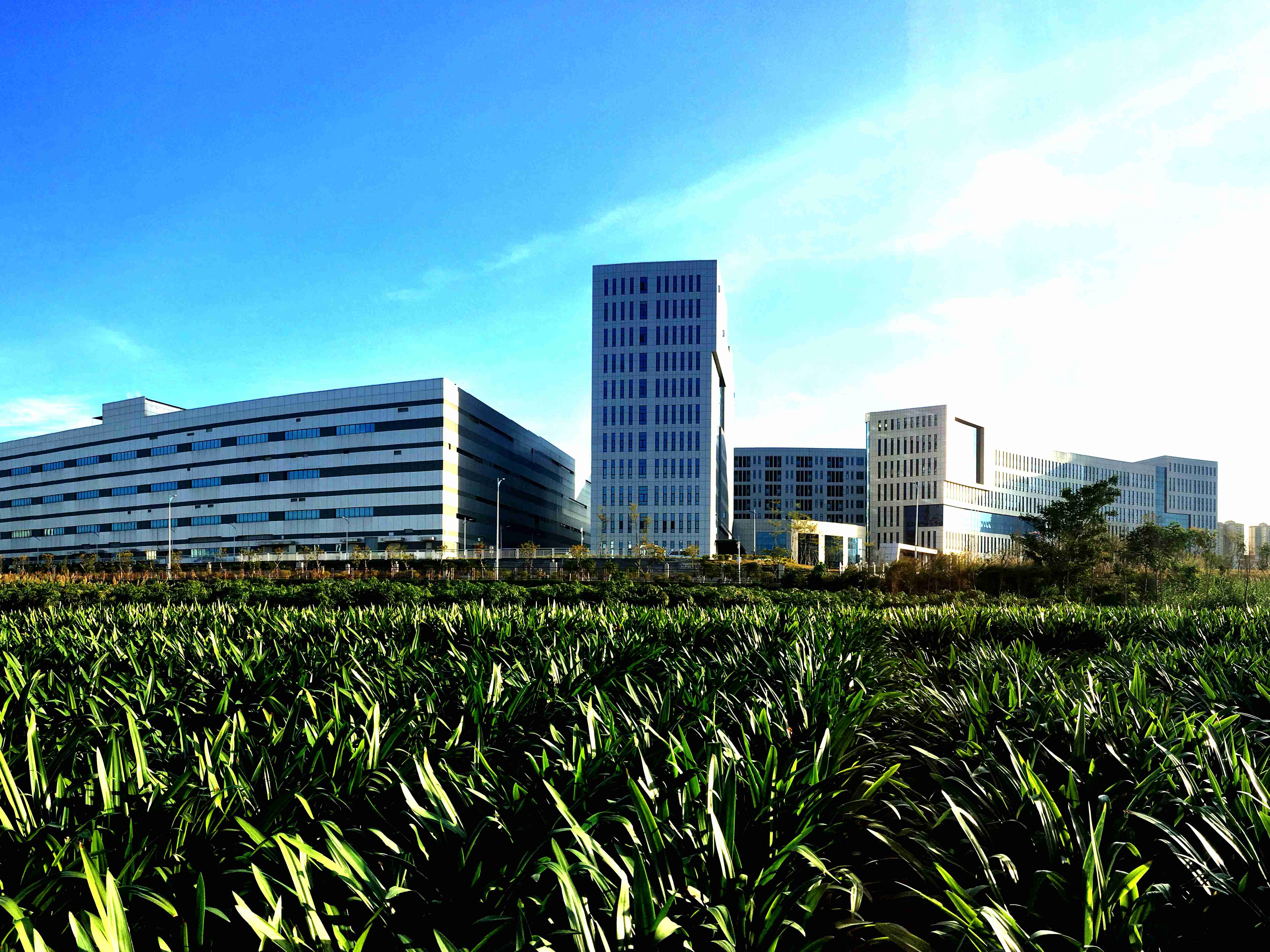 1689657188043062729.jpg 大美诚信为本专业服务 官网—晨光中的诚信为本专业服务 官网致君_副本.jpg