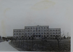 1958꣬ɶƷоͨĻ⡢ˢºͽ裬ҹƷо