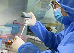 2020110Ϊרҵ йϺŵò48Сʱ׼ֳƳ¹ڲԼвӦһߡ